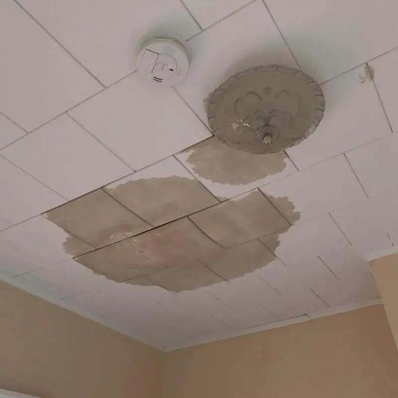 Ceiling Water Damage Repair in Wooster, OH
