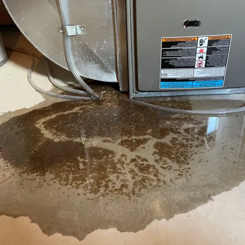 Pipe Burst and Leak Restoration in Wooster, OH